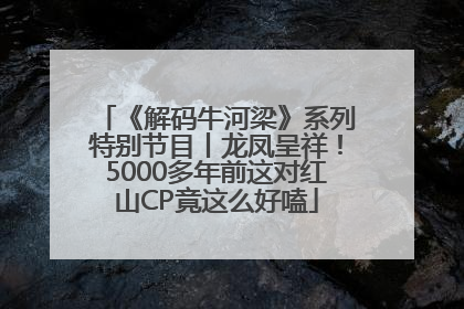 《解码牛河梁》系列特别节目丨龙凤呈祥！5000多年前这对红山CP竟这么好嗑
