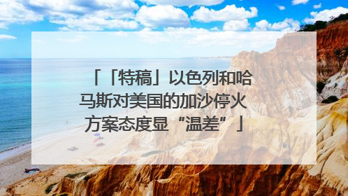 「特稿」以色列和哈马斯对美国的加沙停火方案态度显“温差”