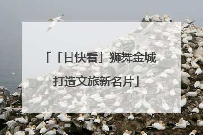 「甘快看」狮舞金城 打造文旅新名片