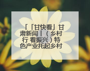 「甘快看」甘肃新闻丨（乡村行 看振兴）特色产业托起乡村振兴路