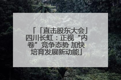 「直击股东大会」四川长虹：正视“内卷”竞争态势 加快培育发展新动能