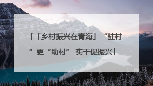 「乡村振兴在青海」“驻村”更“助村” 实干促振兴