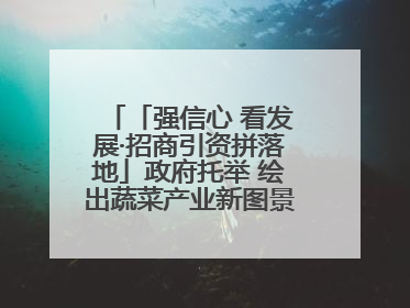 「强信心 看发展·招商引资拼落地」政府托举 绘出蔬菜产业新图景——镇原县甘肃聚广利现代设施蔬菜种植基地见闻