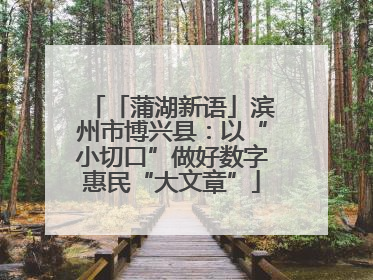 「蒲湖新语」滨州市博兴县：以“小切口”做好数字惠民“大文章”