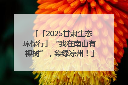 「2025甘肃生态环保行」“我在南山有棵树”，染绿凉州！