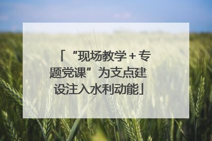 “现场教学＋专题党课”为支点建设注入水利动能