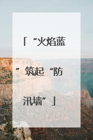 “火焰蓝”筑起“防汛墙”
