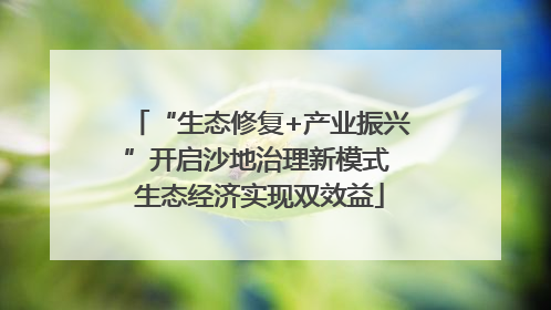 “生态修复+产业振兴”开启沙地治理新模式 生态经济实现双效益