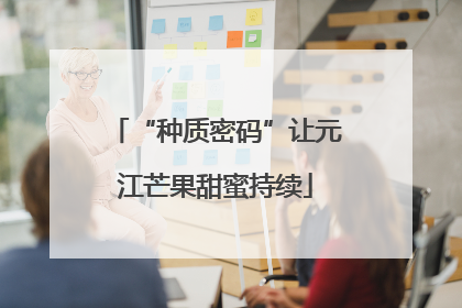“种质密码”让元江芒果甜蜜持续