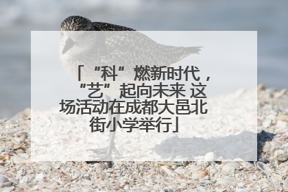 “科”燃新时代，“艺”起向未来 这场活动在成都大邑北街小学举行
