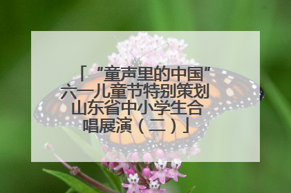 “童声里的中国”六一儿童节特别策划 山东省中小学生合唱展演（二）