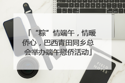 “粽”情端午，情暖侨心，巴西青田同乡总会举办端午慰侨活动