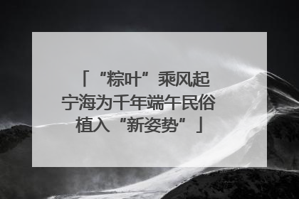 “粽叶”乘风起 宁海为千年端午民俗植入“新姿势”