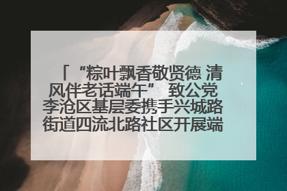 “粽叶飘香敬贤德 清风伴老话端午” 致公党李沧区基层委携手兴城路街道四流北路社区开展端午节主题活动