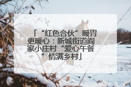 “红色合伙”暖胃更暖心：新城街道阎家小庄村“爱心午餐”情满乡村