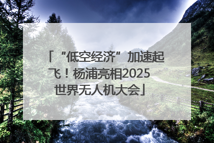 “低空经济”加速起飞！杨浦亮相2025世界无人机大会