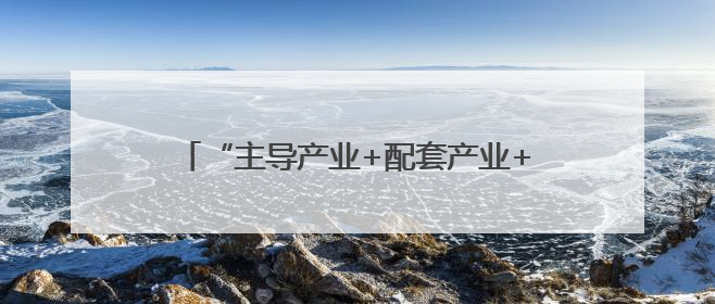 “主导产业+配套产业+衍生产业” 镇域经济创新发展释放强劲发展动能