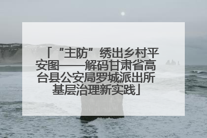 “主防”绣出乡村平安图——解码甘肃省高台县公安局罗城派出所基层治理新实践