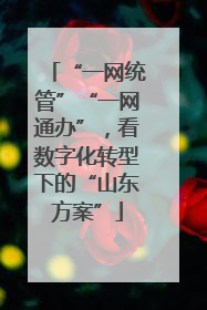 “一网统管”“一网通办”，看数字化转型下的“山东方案”