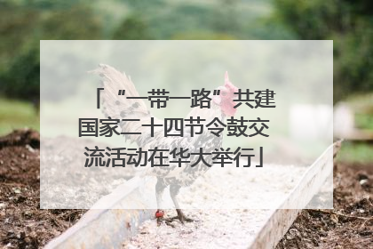 “一带一路”共建国家二十四节令鼓交流活动在华大举行