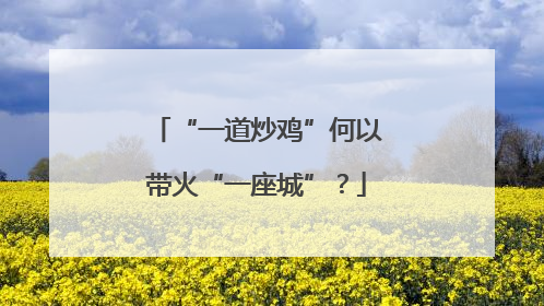 “一道炒鸡”何以带火“一座城”？