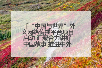 “中国与世界”外文网络传播平台项目启动 汇聚合力讲好中国故事 推进中外文明交流互鉴