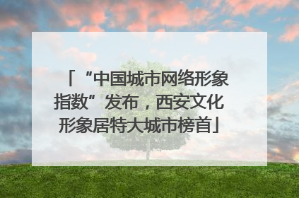“中国城市网络形象指数”发布，西安文化形象居特大城市榜首