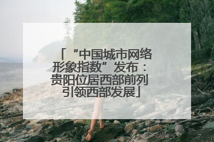 “中国城市网络形象指数”发布：贵阳位居西部前列 引领西部发展
