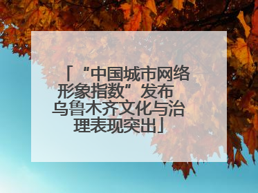 “中国城市网络形象指数”发布 乌鲁木齐文化与治理表现突出