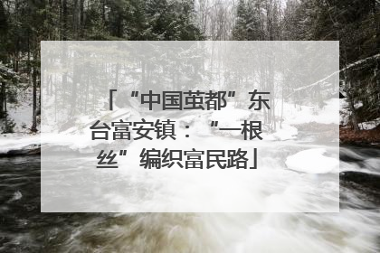 “中国茧都”东台富安镇：“一根丝”编织富民路
