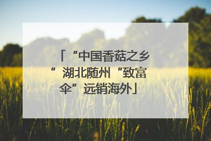 “中国香菇之乡”湖北随州“致富伞”远销海外