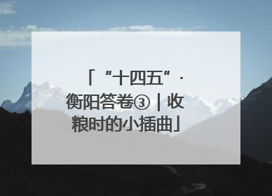 “十四五”·衡阳答卷③｜收粮时的小插曲