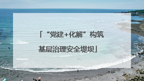 “党建+化解”构筑基层治理安全堤坝