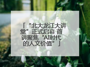 “北大龙江大讲堂”正式启幕 首讲聚焦“AI时代的人文价值”