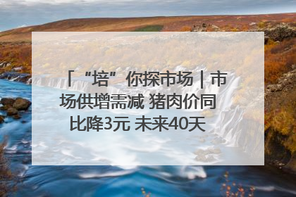 “培”你探市场｜市场供增需减 猪肉价同比降3元 未来40天便宜猪肉敞开吃