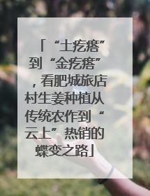 “土疙瘩”到“金疙瘩”，看肥城旅店村生姜种植从传统农作到“云上”热销的蝶变之路