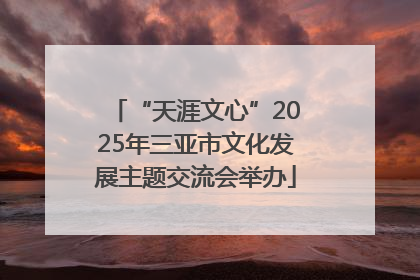 “天涯文心”2025年三亚市文化发展主题交流会举办