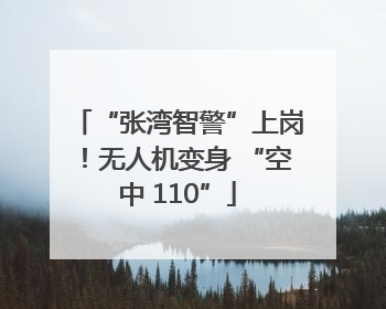 “张湾智警”上岗！无人机变身 “空中 110”