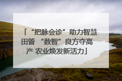 “把脉会诊”助力智慧田管 “数智”良方夺高产 农业焕发新活力