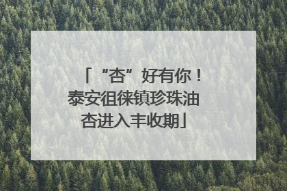 “杏”好有你！泰安徂徕镇珍珠油杏进入丰收期