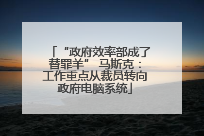 “政府效率部成了替罪羊” 马斯克：工作重点从裁员转向政府电脑系统