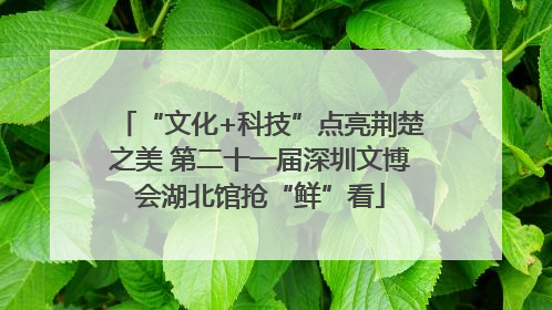 “文化+科技”点亮荆楚之美 第二十一届深圳文博会湖北馆抢“鲜”看