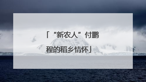 “新农人”付鹏程的稻乡情怀