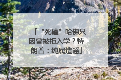 “死磕”哈佛只因曾被拒入学？特朗普：纯属造谣