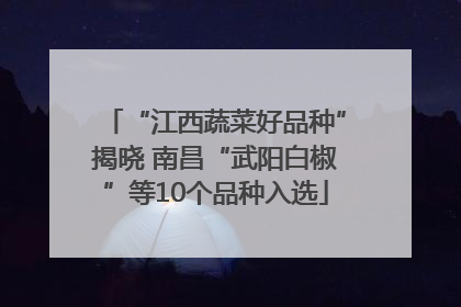 “江西蔬菜好品种”揭晓 南昌“武阳白椒”等10个品种入选