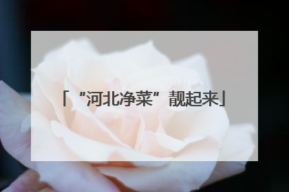“河北净菜”靓起来