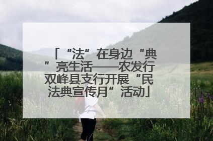“法”在身边“典”亮生活——农发行双峰县支行开展“民法典宣传月”活动