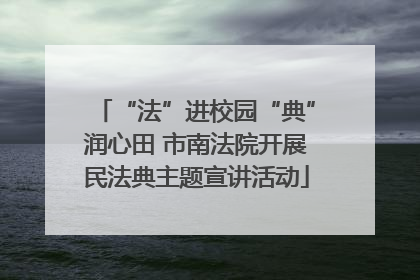 “法”进校园“典”润心田 市南法院开展民法典主题宣讲活动