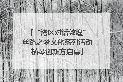 “湾区对话敦煌” 丝路之梦文化系列活动横琴创新方启幕