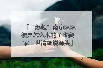 “苏超”南京队队徽是怎么来的？收藏家王世清细说源头